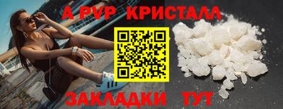 крисы Краснодар