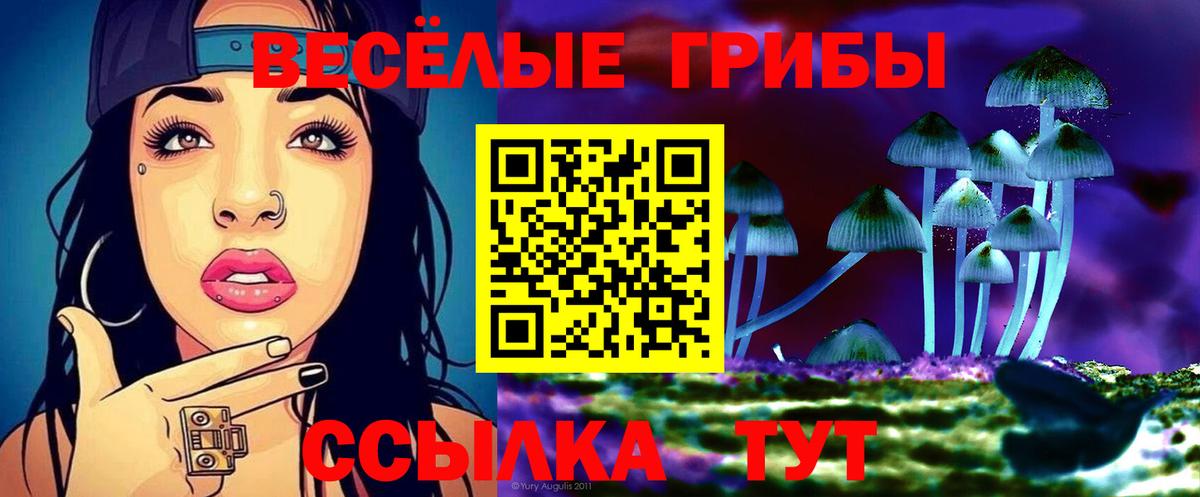 где продают наркотики  Вход с VPN  Каменск-Уральский  Галлюциногенные грибы мицелий 